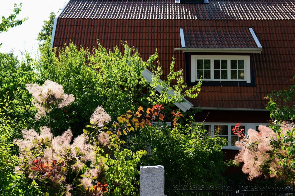 a house with a red roof surrounded by trees